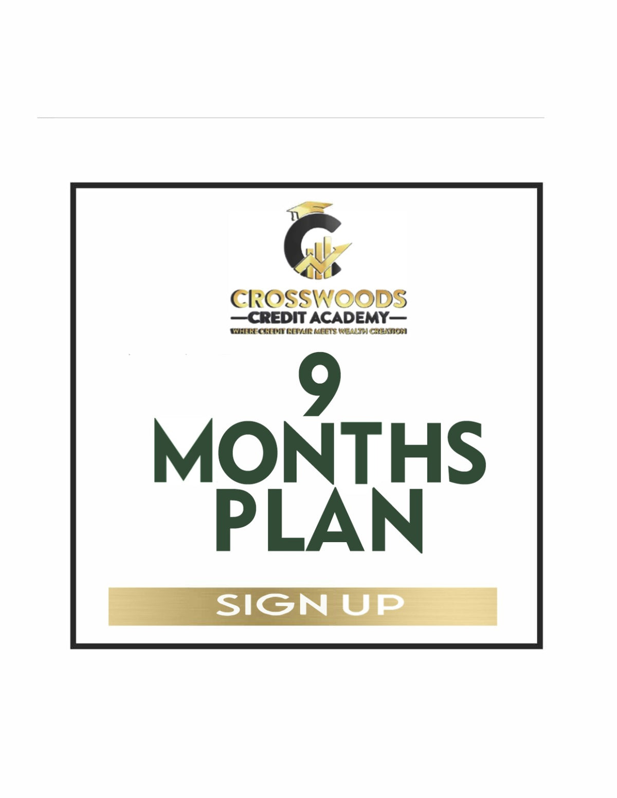 9 Months Credit Repair Plans