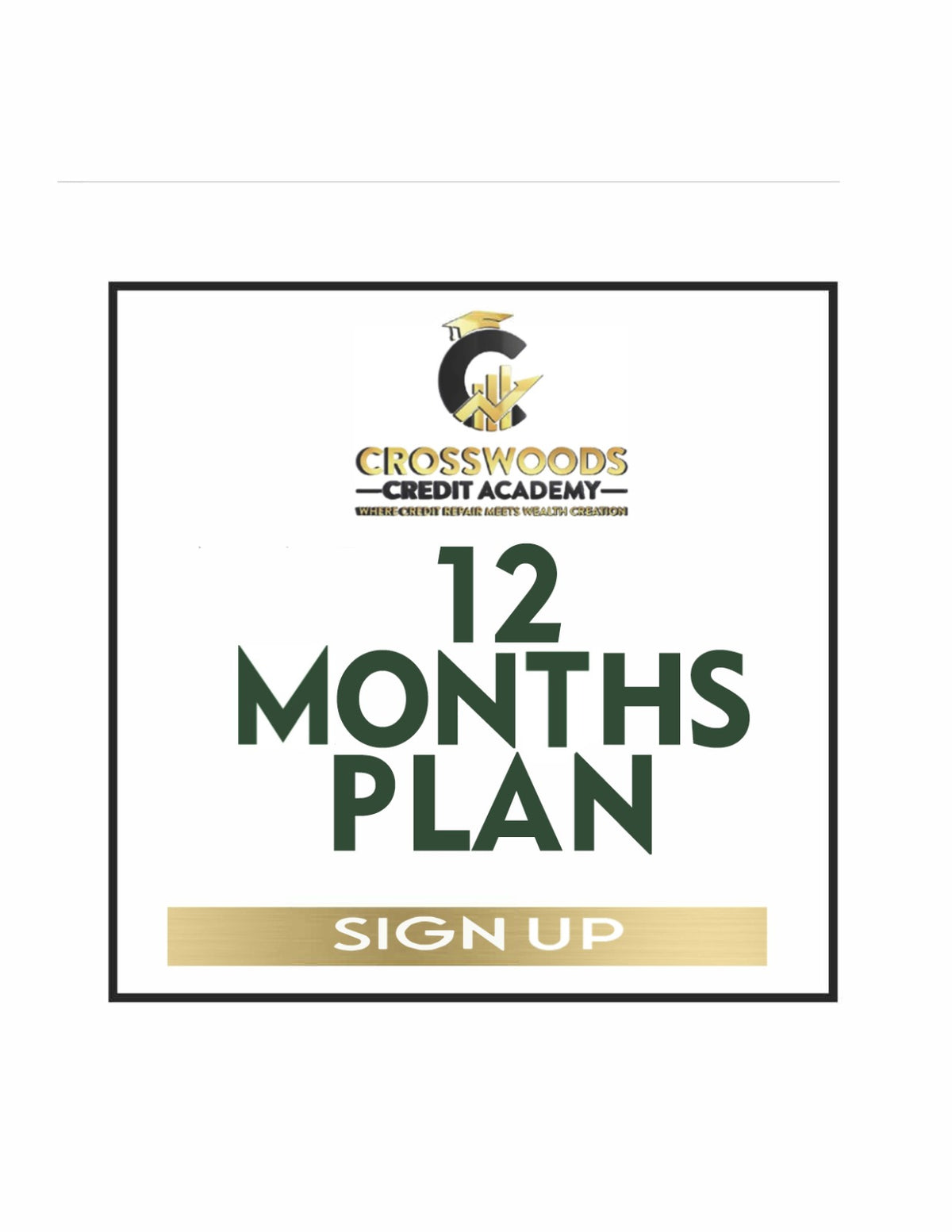 12 Months Credit Repair Plans